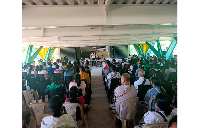 Desarrollo institucional